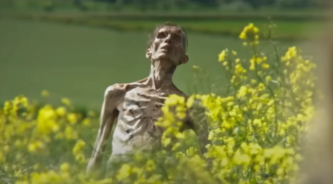 28 years later 28 years later